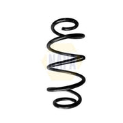NAPA Rear Suspension Coil Spring NCS1707