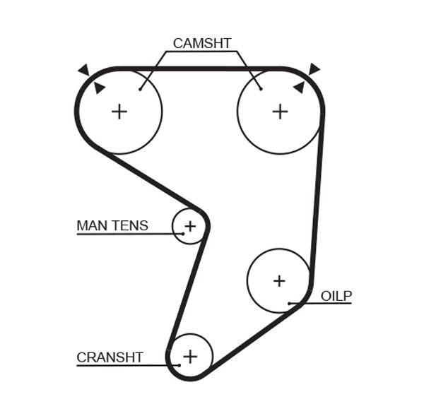 Gates 5196 Timing Belt