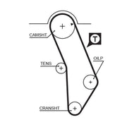 Gates Timing Belt Kit with Rollers K015183XS