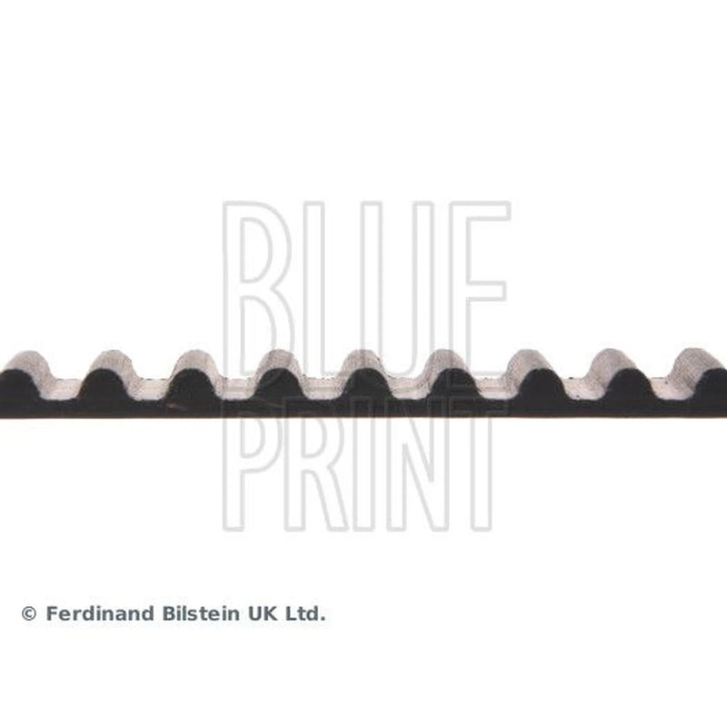 Blue Print Timing Belt Cambelt 113 Teeth ADH27521