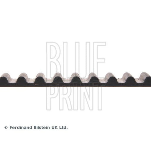 Blue Print Timing Belt Cambelt 113 Teeth ADH27521
