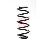 Apec Rear Suspension Coil Spring ACS2249