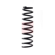 Apec 2 x Suspension Springs ACS2283