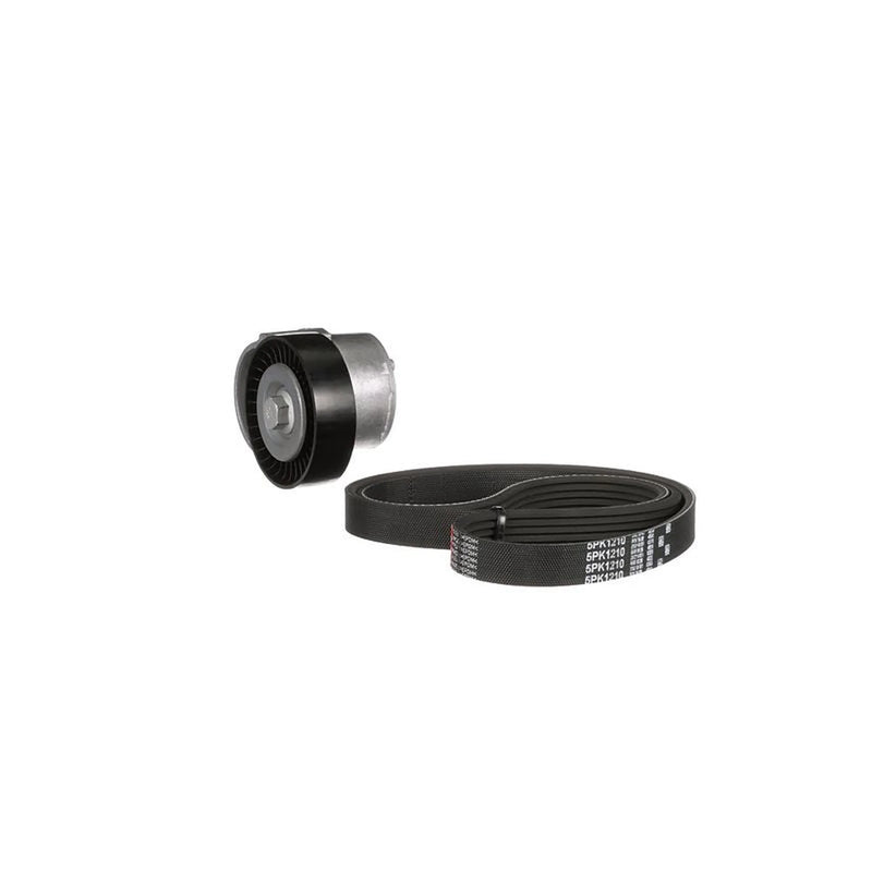 Gates V-Ribbed Belt Set K015PK1210