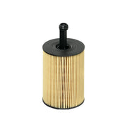 Hengst Engine Oil Filter E19H D83