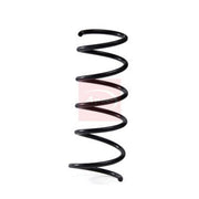 Apec 2 x Suspension Springs ACS2119