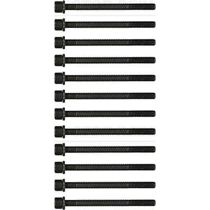 Victor Reinz Cylinder Head Bolt Set M11 14-32049-01