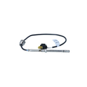 NRF Exhaust Gas Temperature Sensor before soot partic 707222