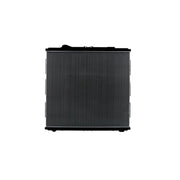 Hella Engine Radiator 8MK 366 300-891