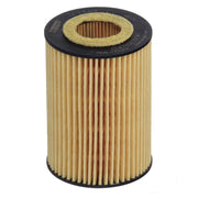 Hengst Engine Oil Filter E234H D290