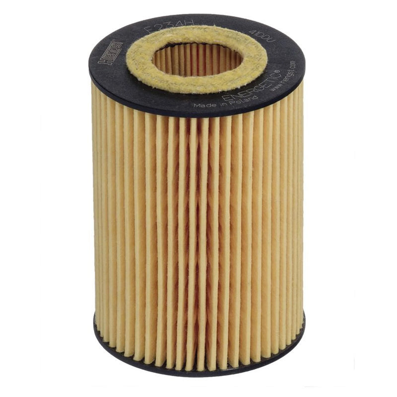 Hengst Engine Oil Filter E234H D290