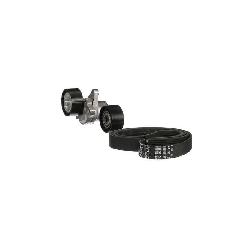 Gates V-Ribbed Belt Set K017PK1973