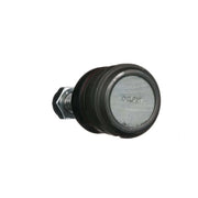 Delphi Ball Joint Upper TC3717