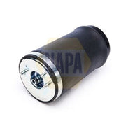 NAPA Air Suspension Spring Top yoke Rear Left NAS1018