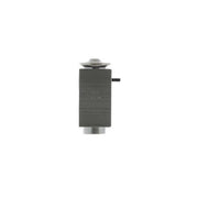 Mahle Air Conditioning Expansion Valve AVE 71 000P