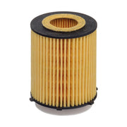 Hengst Engine Oil Filter E818H D238