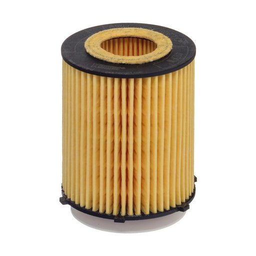 Hengst Engine Oil Filter E818H D238