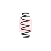 Apec Front Suspension Coil Spring ACS1553