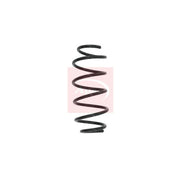 Apec Front Suspension Coil Spring ACS1553