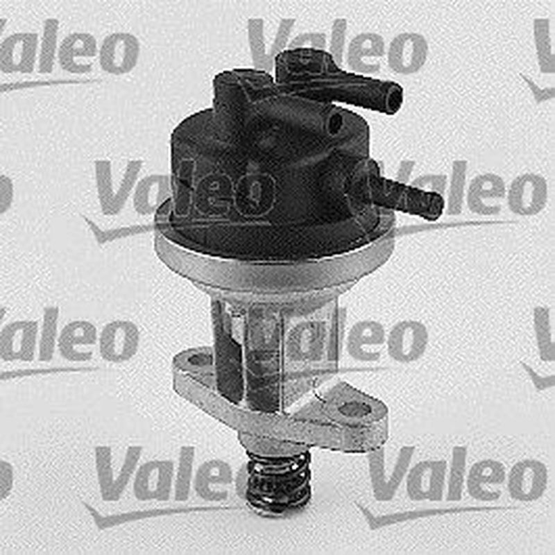 Valeo Fuel Pump Assembly 247152