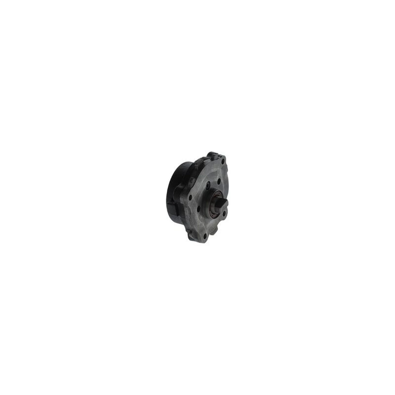 Bosch Fuel Pump Assembly 0 440 050 006