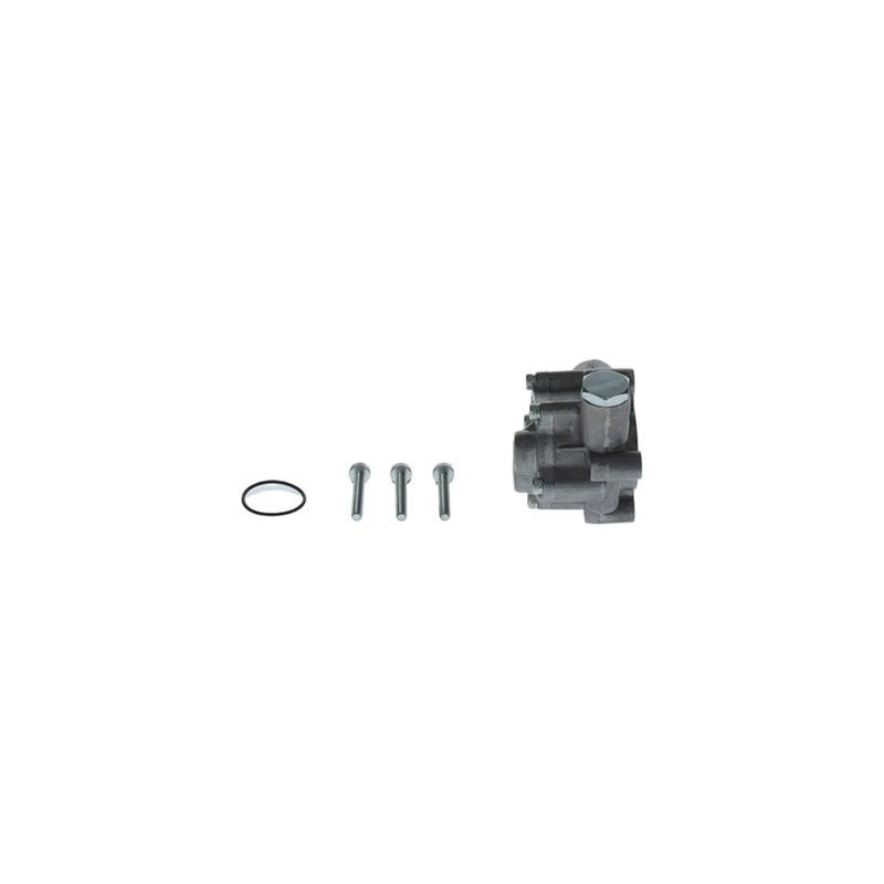 Bosch Fuel Pump Assembly 3 576 671 113