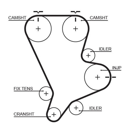 Gates Timing Belt Cambelt 151 Teeth 5554XS