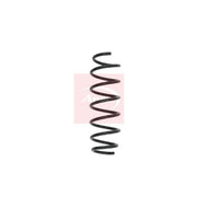 Apec Rear Suspension Coil Spring ACS1565