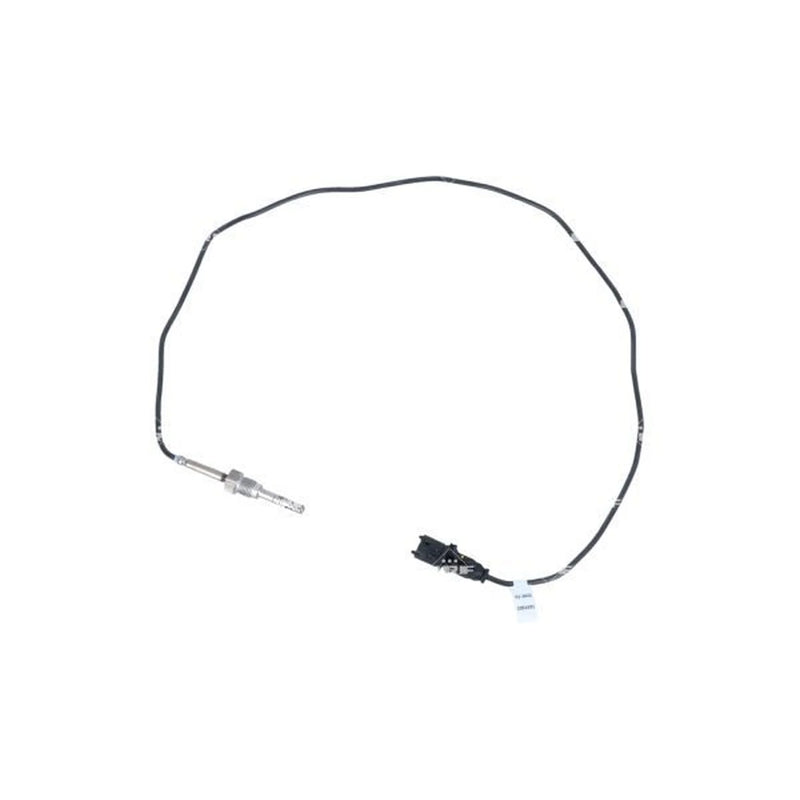 NRF Exhaust Gas Temperature Sensor before soot particulate f 707163