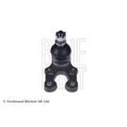 Blue Print Ball Joint Front Right ADT386207