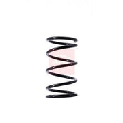 Apec 2 x Suspension Springs ACS1495