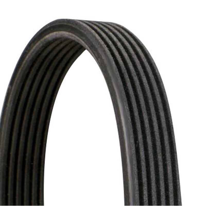 Continental CTAM Multi V-Ribbed Drive Belt 6DPK1237