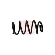 Apec Front Suspension Coil Spring ACS1900
