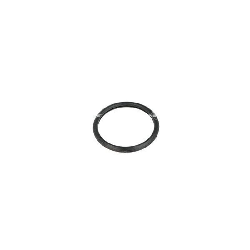 NRF Thermostat,Coolant 725190