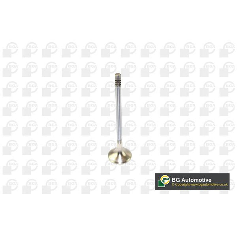 BGA Engine Exhaust Valve 24mm Head V166211