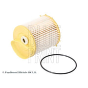Blue Print Fuel Filter Element ADG02389