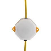 Draper Festoon String Lights 110V 4W 3800 Lumens 22m Set of 10