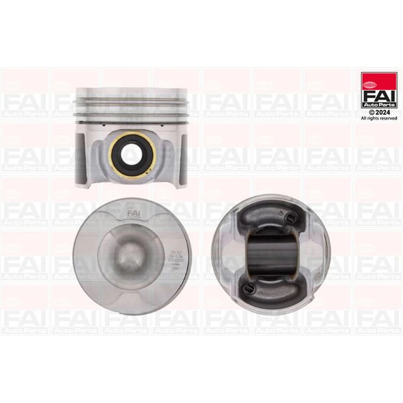 FAI Piston Cylinder Bore = PK291-000