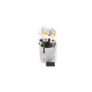 Bosch Fuel Tank Sender Unit in the fuel tank 0 580 207 00H