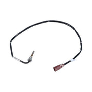 NRF Exhaust Gas Temperature Sensor before soot particu 707084