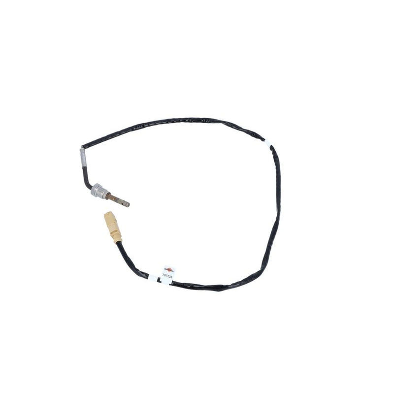 NRF Exhaust Gas Temperature Sensor after soot particulate filter 707126