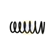 NAPA Rear Suspension Coil Spring NCS1876