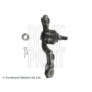 Blue Print Ball Joint Lower ADT386140