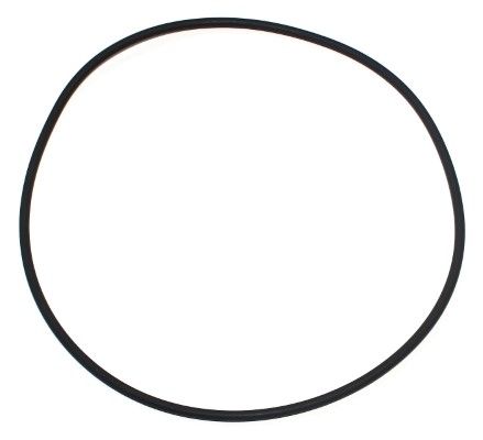 Elring 743.401 Seal Ring