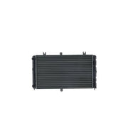 Mahle Engine Radiator CR 2693 000S