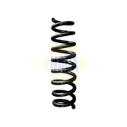NAPA Rear Suspension Coil Spring NCS1694