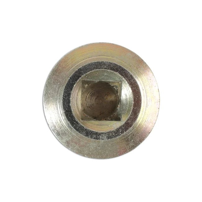 Connect HGV Sump Plug & Washer - for DAF 1pc - CPL