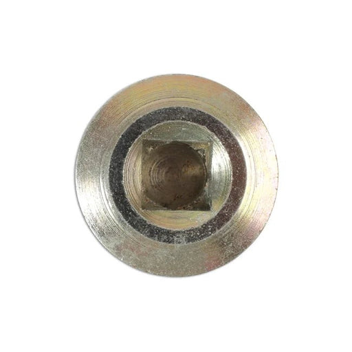 Connect HGV Sump Plug & Washer - for DAF 1pc - CPL