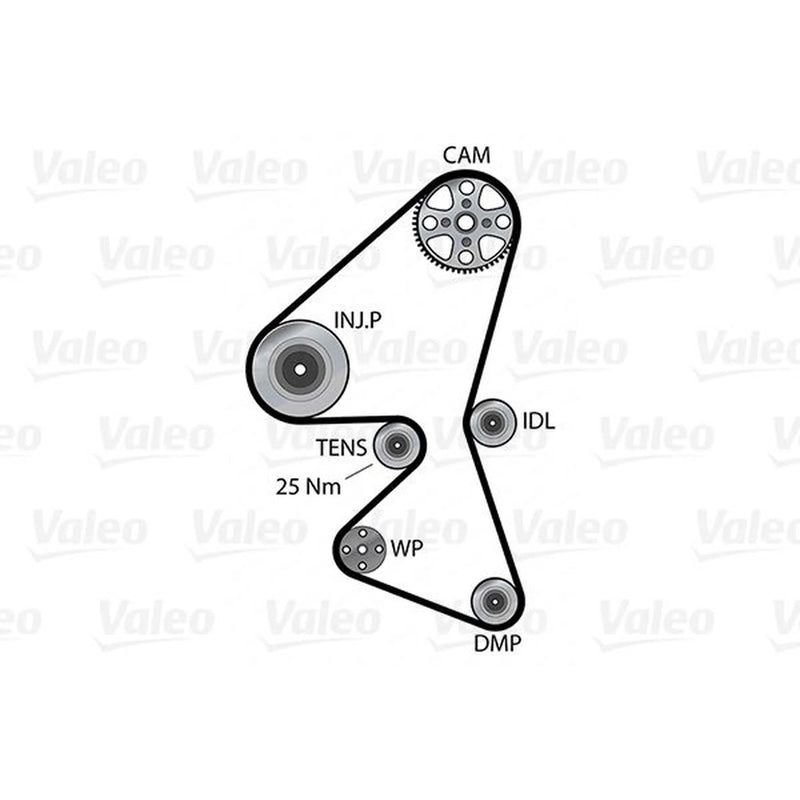 Valeo Timing Belt & Water Pump Kit 614557