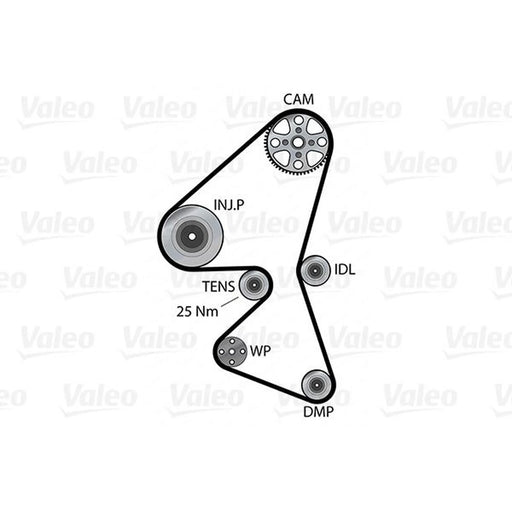 Valeo Timing Belt & Water Pump Kit 614557